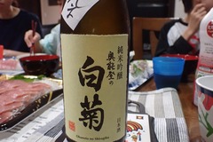 白菊