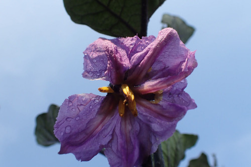 P6180338