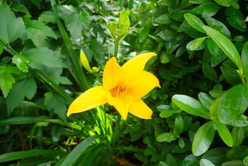 P6110440