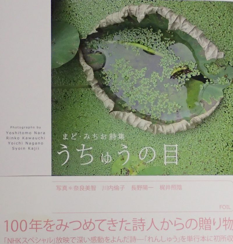 まどみちおさん 酒中日記