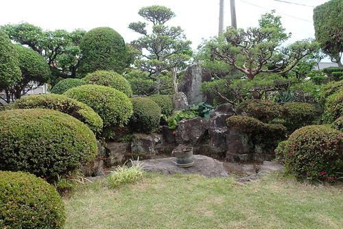 P6260419