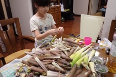 淡竹6