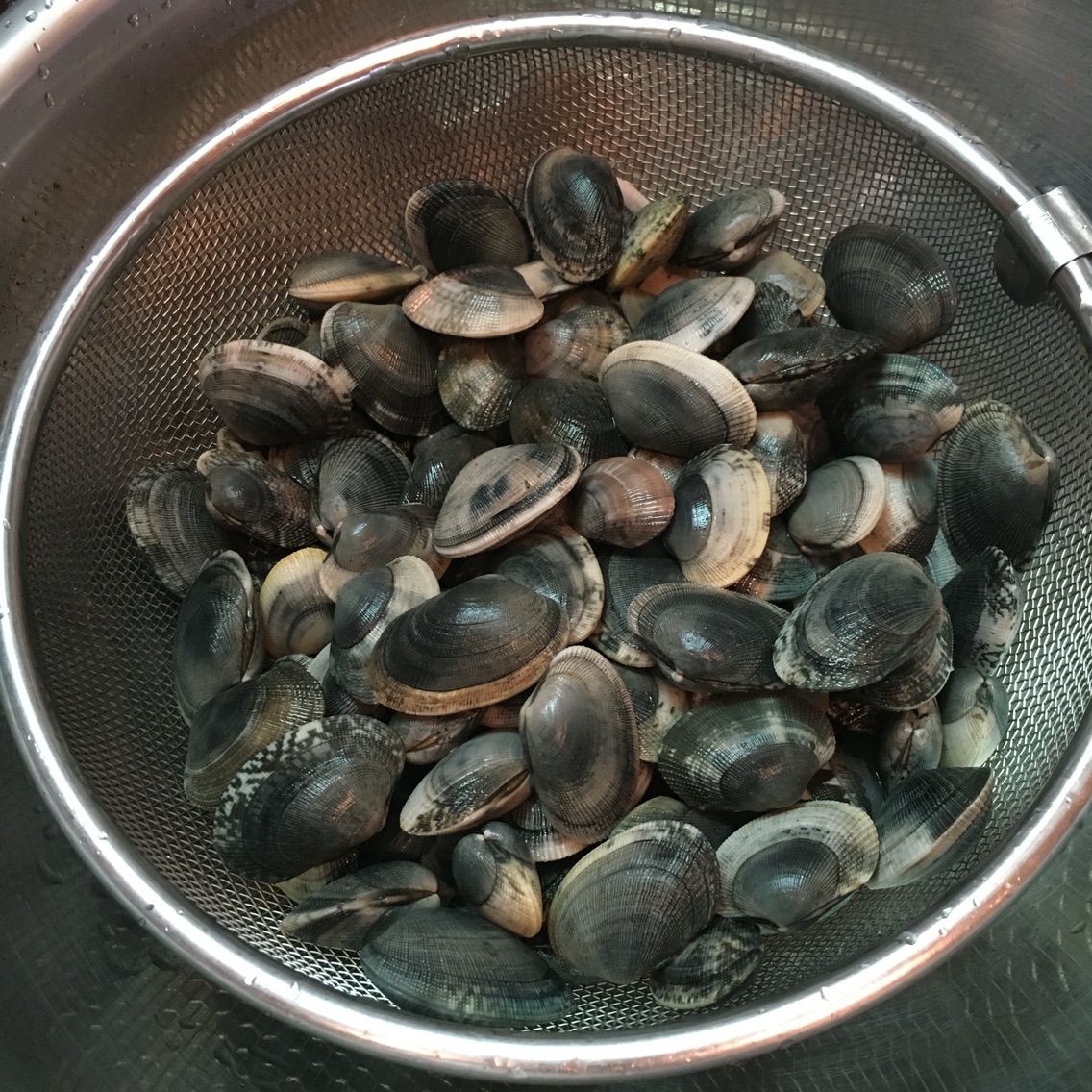 能取湖で潮干狩り あやちゃん りょうちゃん せいちゃんのぶろぐ