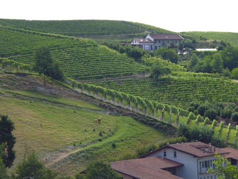 P1090270
