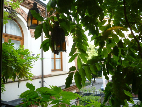 P1090198