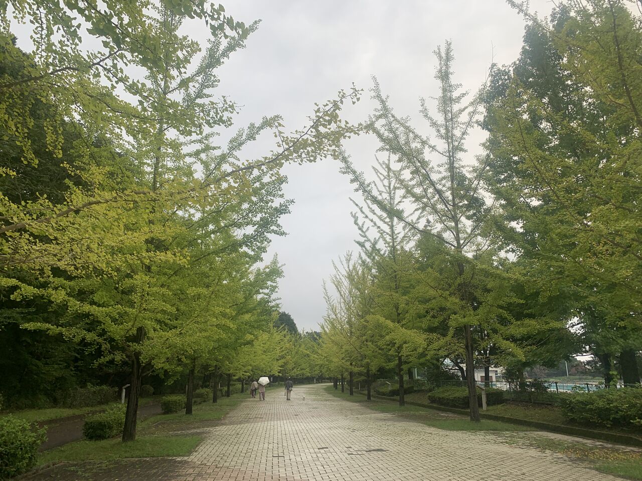 そば処ちちぶ花見の里 秋そばの花 ちちぶ発 ナミダドロップ