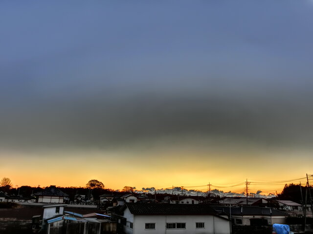 21年2月9日 令和２年の水戸の梅大使さん 華やかですね Lsd練習 フィットネス 火曜日 ビバ つぶやき日記 Masamicchiのブログ 青い風 切って走れ あの島へ