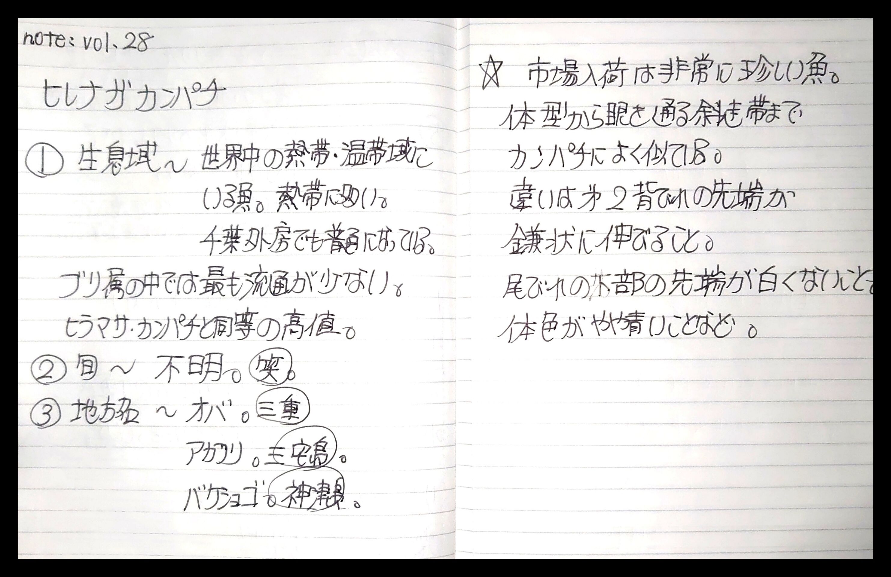 ヒレナガカンパチ Self Liner Notes 或いは 高はし三代目のブログ マーク2 ヒレナガカンパチ Self Liner Notes 或いは 高はし三代目のブログ マーク2