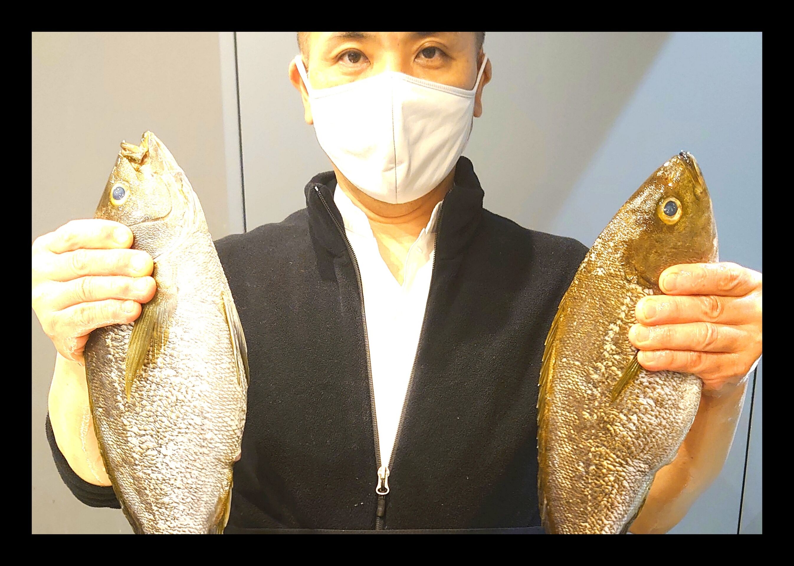 高知産大いさき刺身 特上刺身盛り合わせに入ります Self Liner Notes 或いは 高はし三代目のブログ マーク2