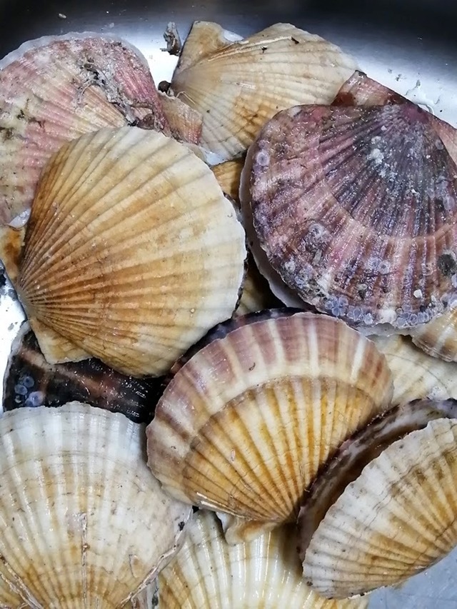 IMG_20191127_1913212400