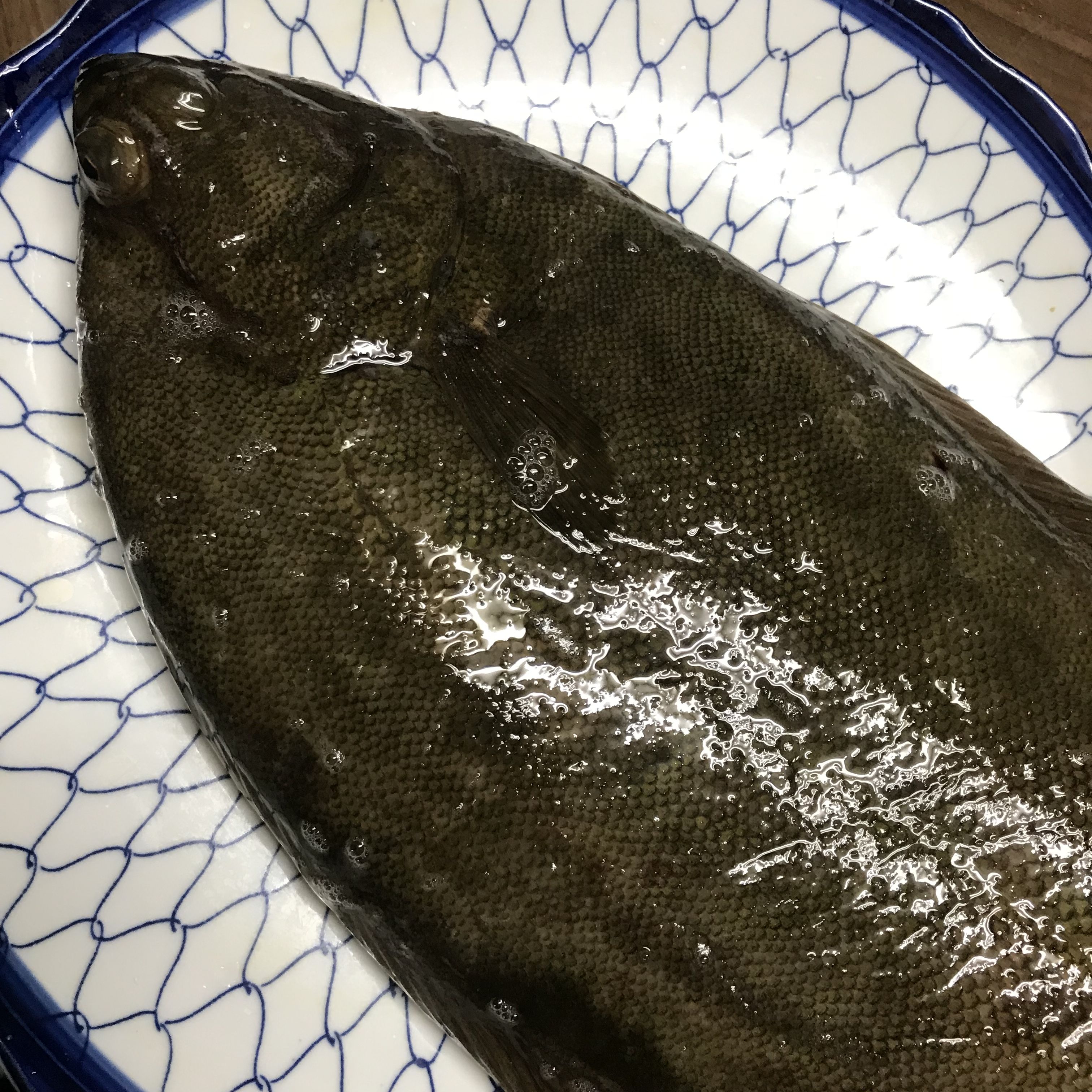 ギンポ 君はここに板前 加志和二代目日記