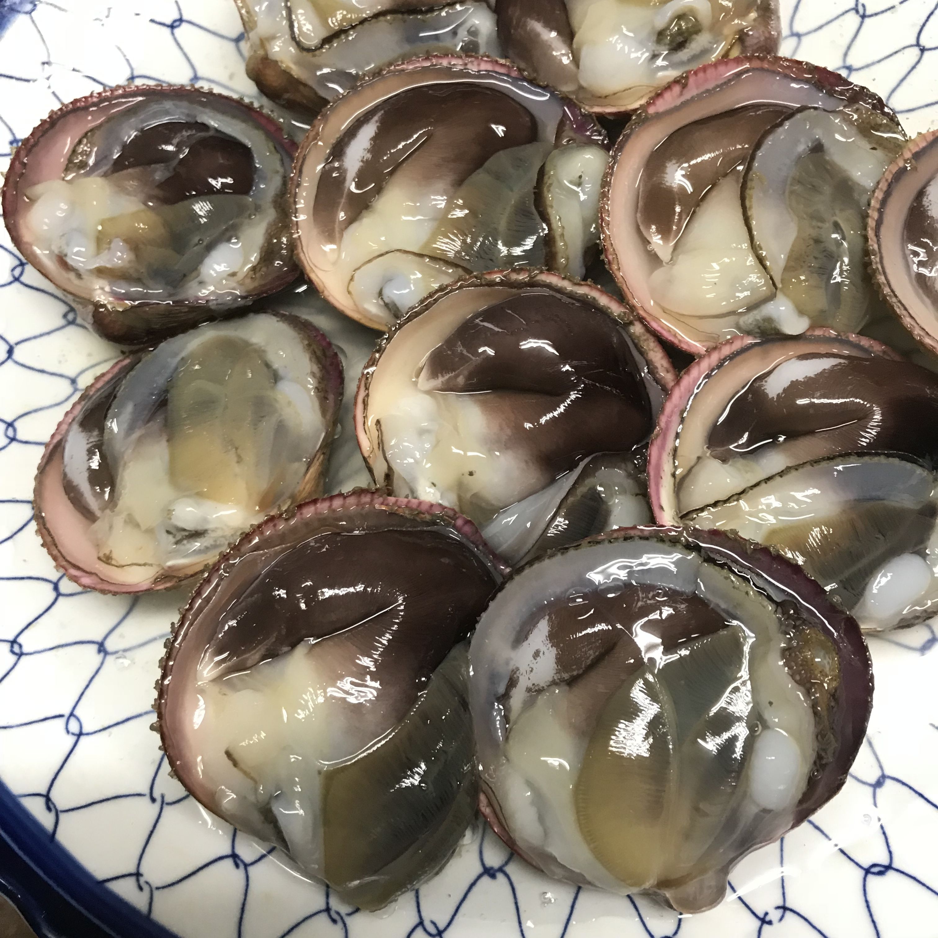 ギンポ 君はここに板前 加志和二代目日記