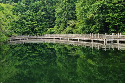 美しい「もみじ池」（高島市今津）