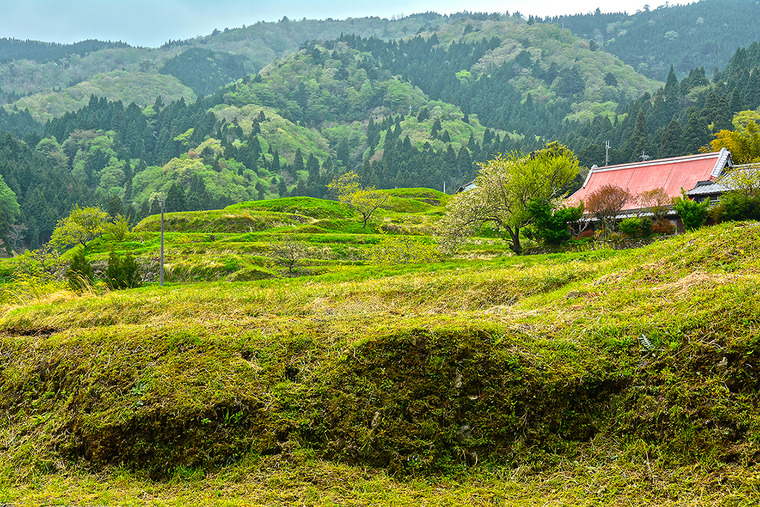 のどかです！（高島市畑／棚田）