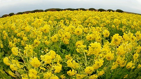 439aabf0.jpg