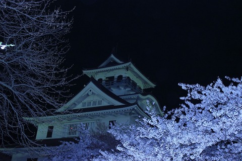 s_滋賀のええフォト☆春「豊の城と宵桜」