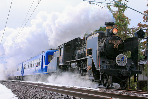 8a746b24.jpg