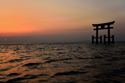 春の曙（白鬚神社）