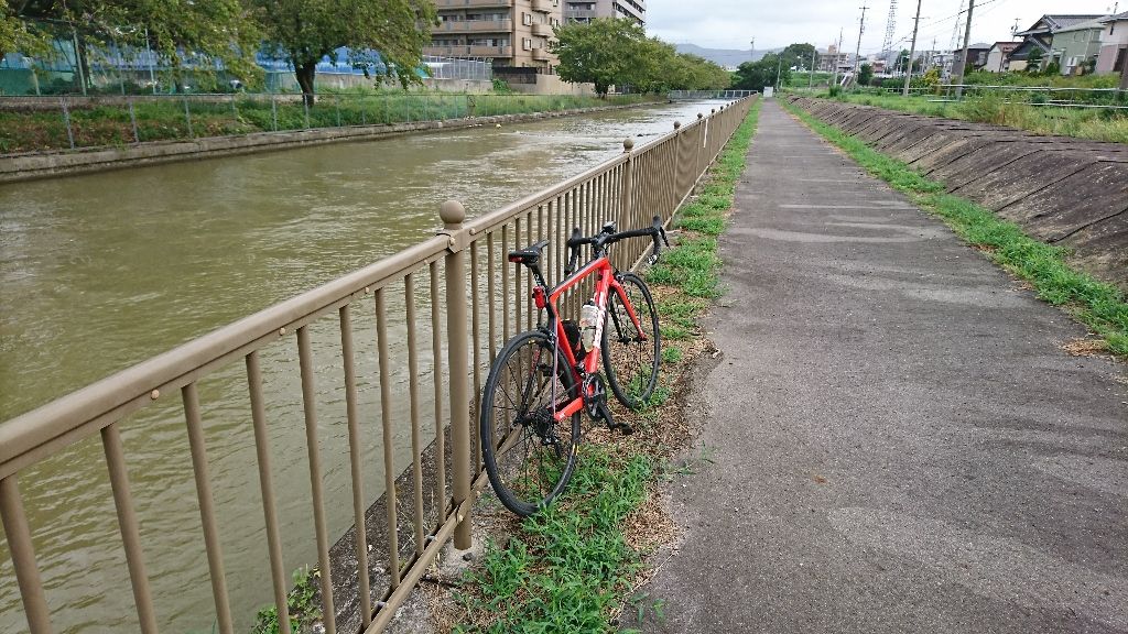 木曽川サイクリングロード 金華山 カタワレの日記