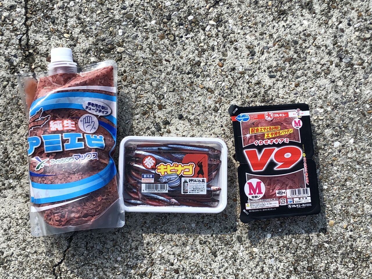 垂水漁港で冬のイカ釣りとサビキ釣り と その1 釣果報告 チーム 太公望がゆく