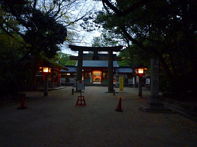 0696776e.jpg