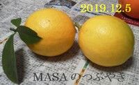 s-2019-12-06_071621