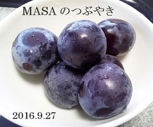 s-2016-09-27_102829