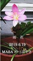 s-2019-06-21_055633