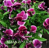s-2021-04-03_114319