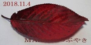 s-2018-11-13_101933