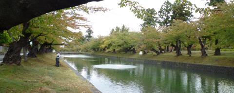 pict-鶴岡公園-1