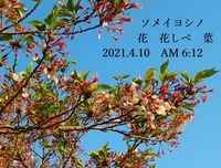 s-2021-04-10_095037