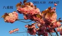 s-2021-04-10_101410
