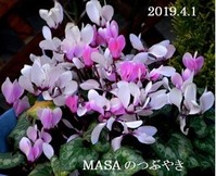 s-2019-04-02_093531