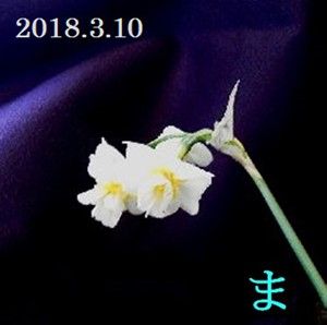s-2018-03-10_135800