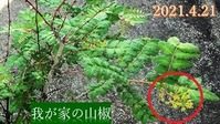 s-2021-04-21_104802