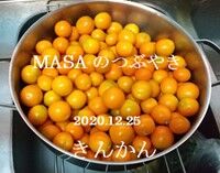 s-2020-12-28_102654