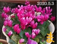 s-2020-05-04_105111