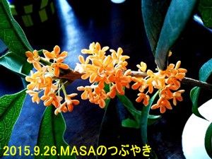 s-2015092610280000