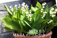s-2019-05-06_210326