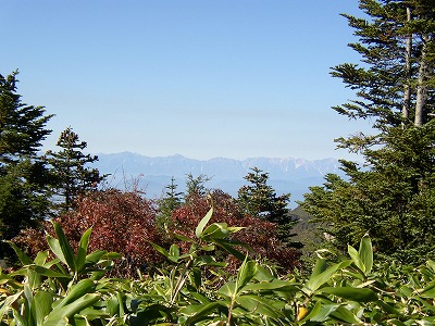 8360a01c.jpg