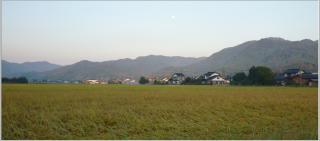 pict-さぎの湯(3)