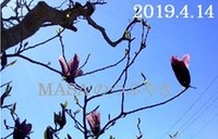 s-2019-04-13_165956