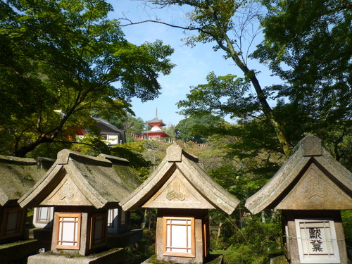 P1020110