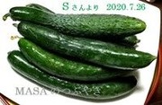 s-2020-07-27_063305