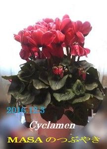 s-2016-12-04_163010