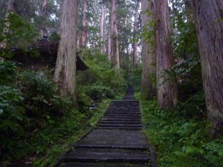 pict-羽黒山表参道杉並木-1