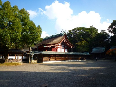 b3ea5469.jpg