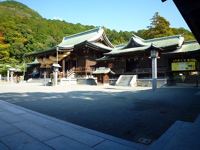 b6f07905.jpg