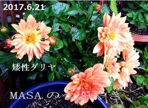 s-2017-06-21_163532
